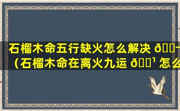 石榴木命五行缺火怎么解决 🐬 （石榴木命在离火九运 🌹 怎么样）